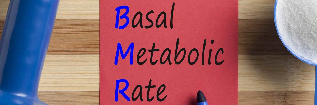 things-that-reduce-metabolism-basal-metabolic-rate-dr-shalini-s